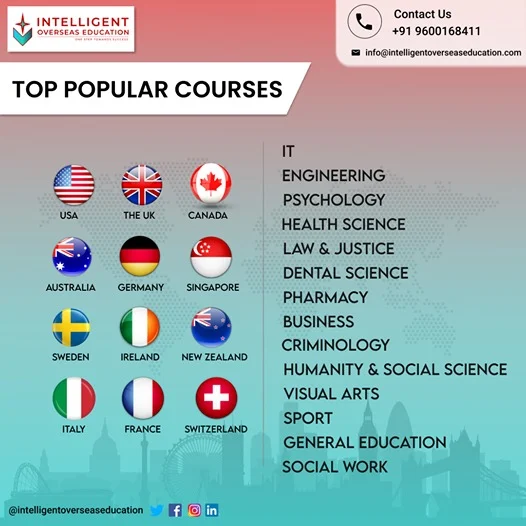 Intelligent Overseas Education office space 4